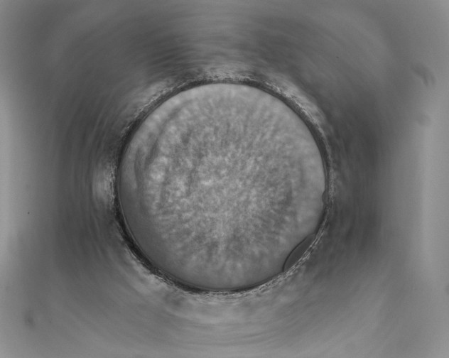 X0000111360009200908071202