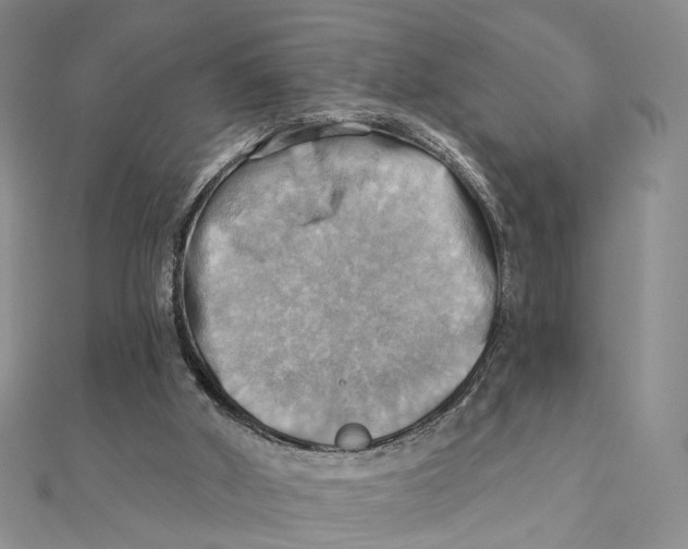 X0000111360010200908071202