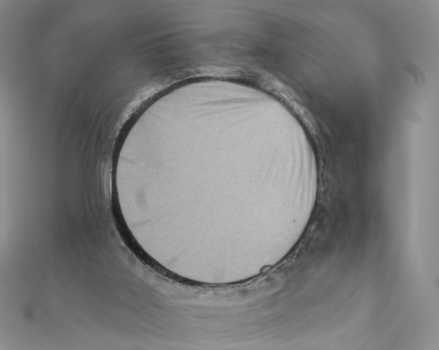 X0000111360011200908071202