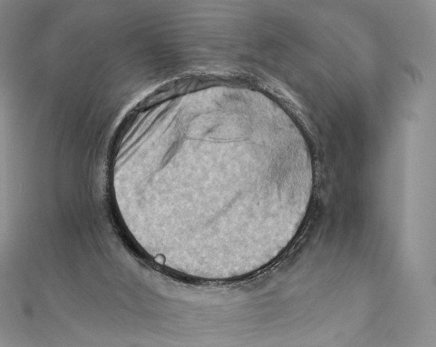 X0000111360012200908071202