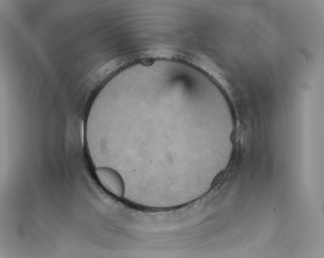 X0000111360013200908071202