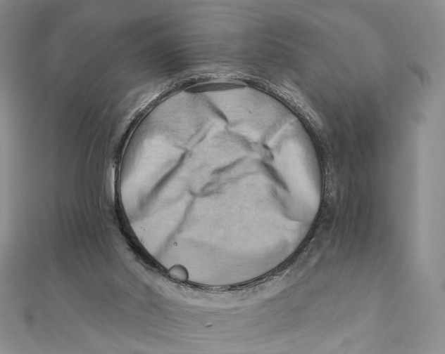 X0000111360014200908071202