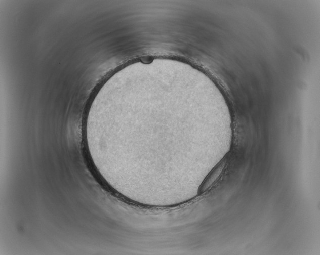 X0000111360015200908071202