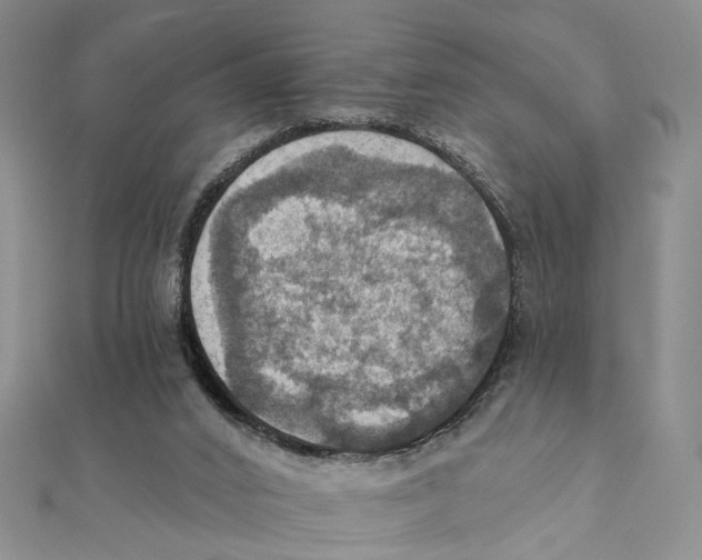 X0000111360016200908071202