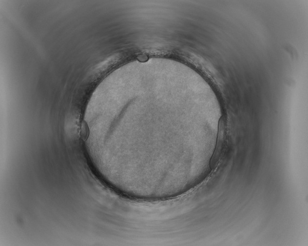 X0000111360017200908071202