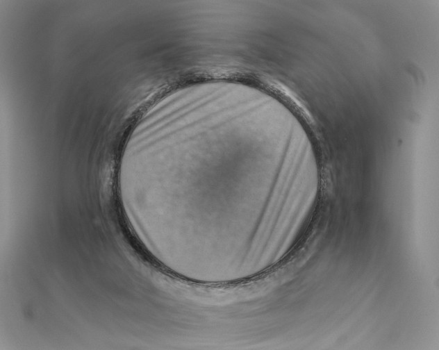 X0000111360018200908071202