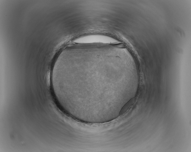 X0000111360019200908071202