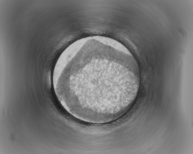 X0000111360020200908071202