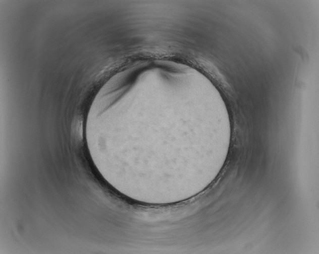 X0000111360021200908071202