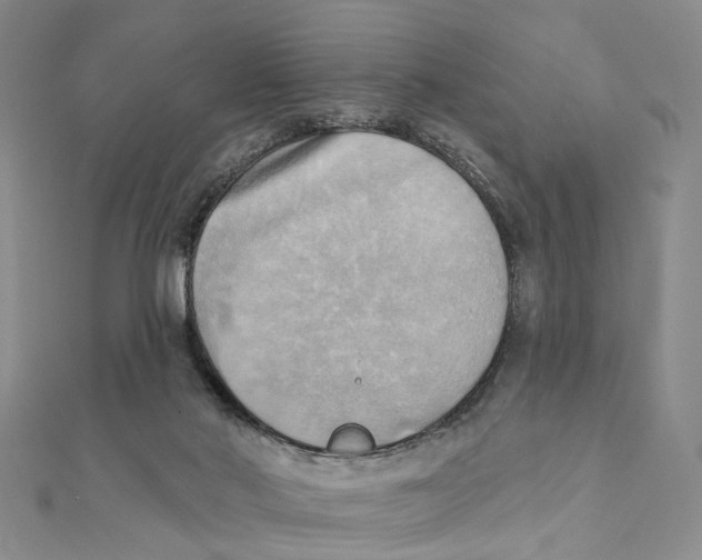 X0000111360022200908071202