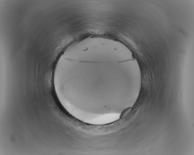 X0000111360023200908071202