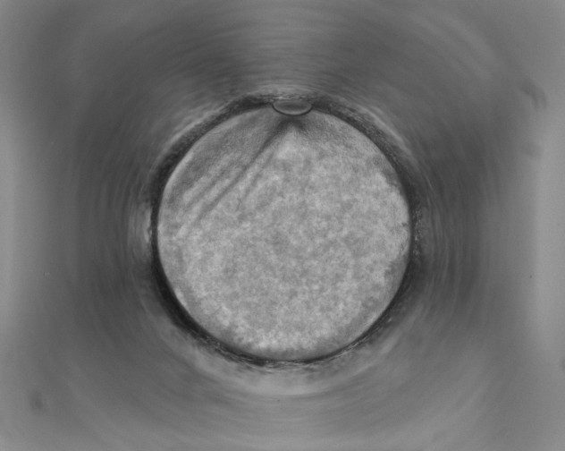 X0000111360024200908071202