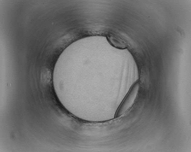 X0000111360025200908071202