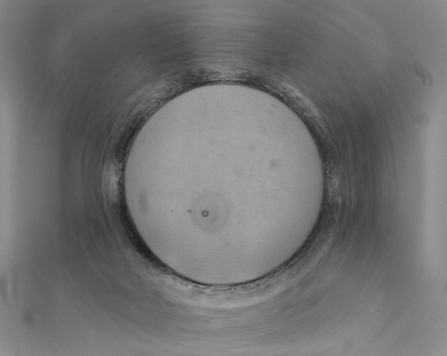 X0000111360026200908071202