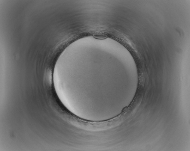 X0000111360027200908071202