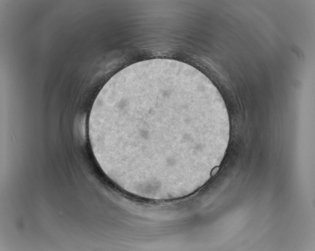 X0000111360028200908071202