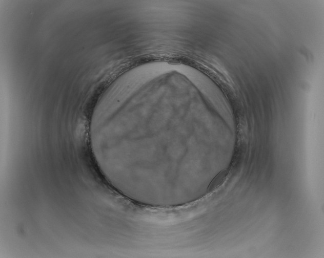 X0000111360029200908071202