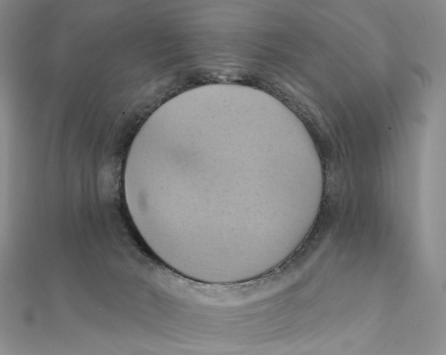 X0000111360030200908071202