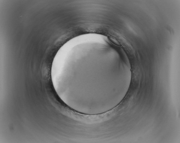 X0000111360031200908071202