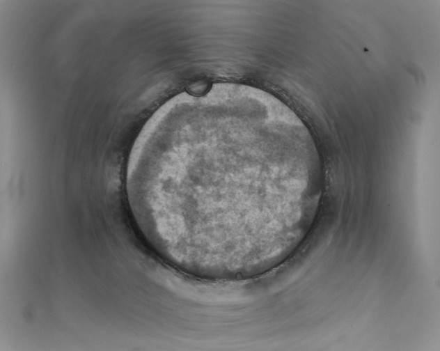 X0000111360032200908071202