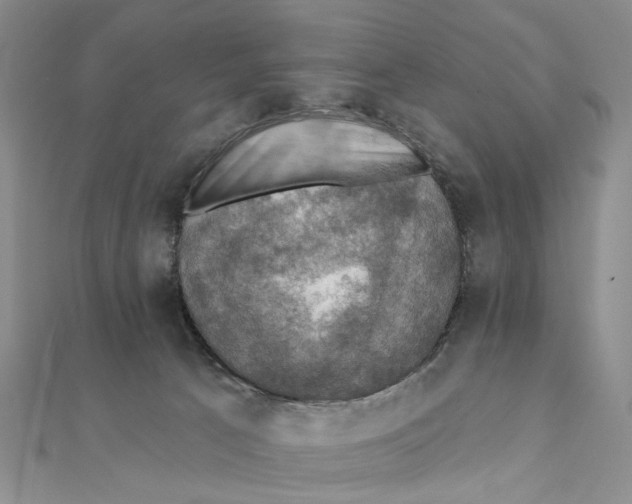 X0000111360033200908071202