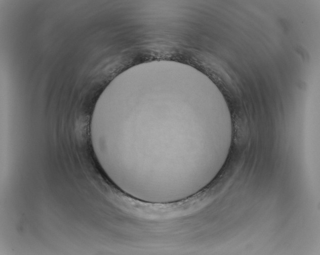 X0000111360034200908071202