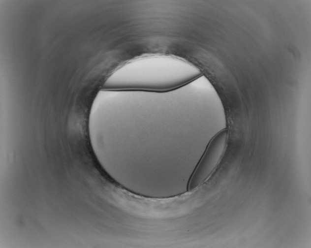 X0000111360035200908071202