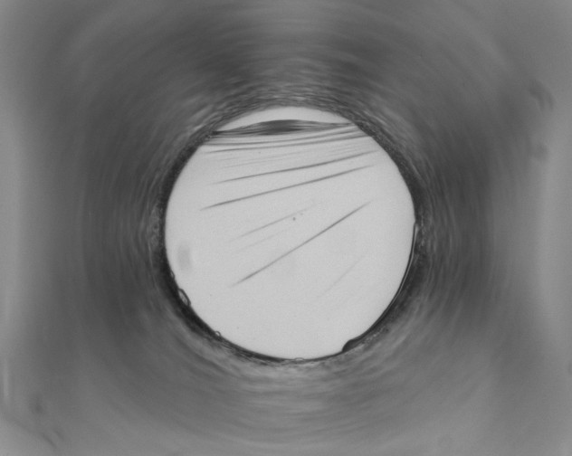 X0000111360036200908071202