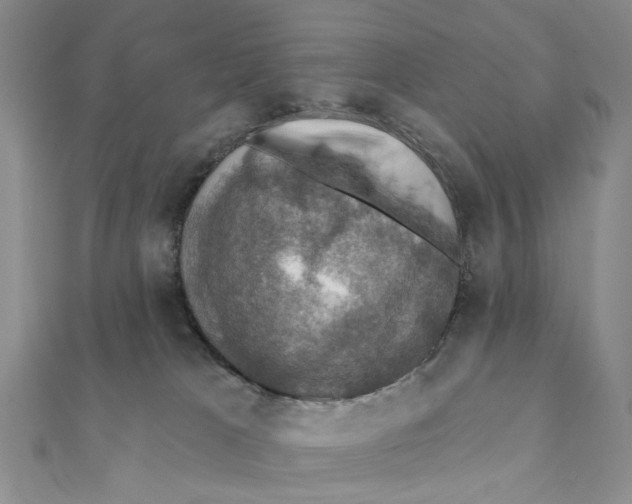 X0000111360037200908071202