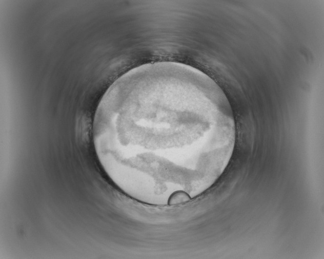 X0000111360038200908071202