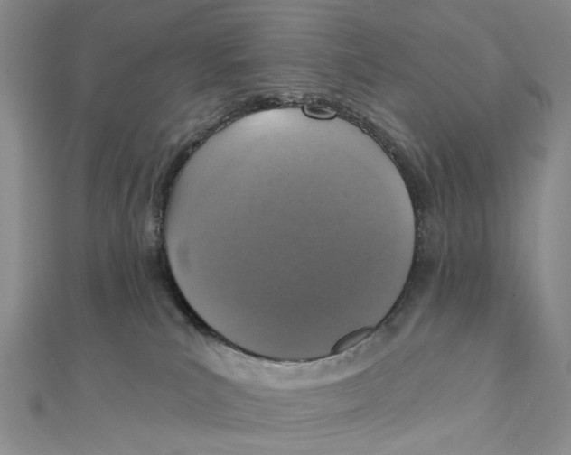 X0000111360039200908071202