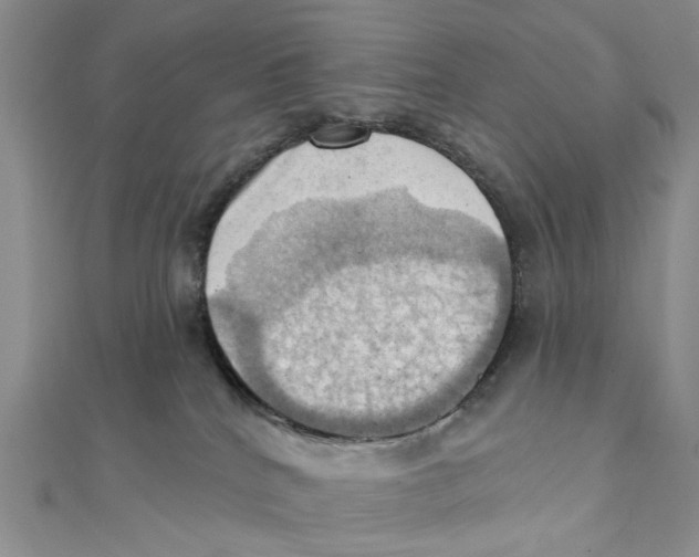 X0000111360040200908071202