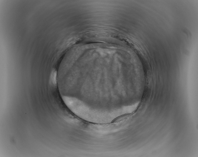 X0000111360041200908071202