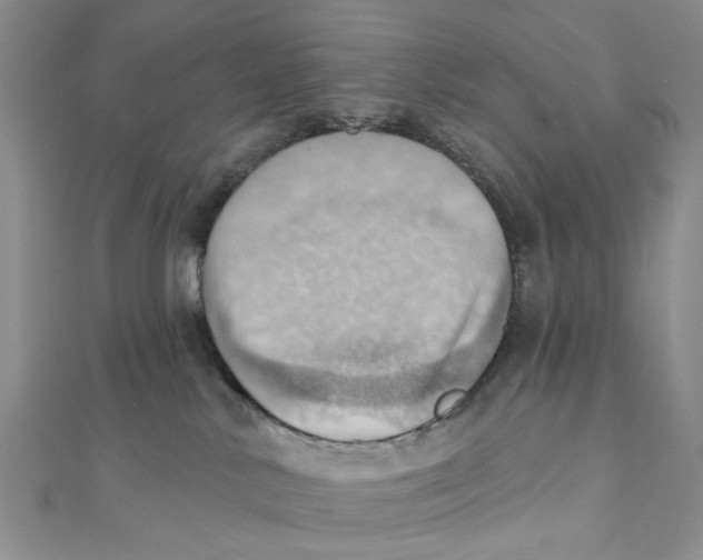 X0000111360042200908071202