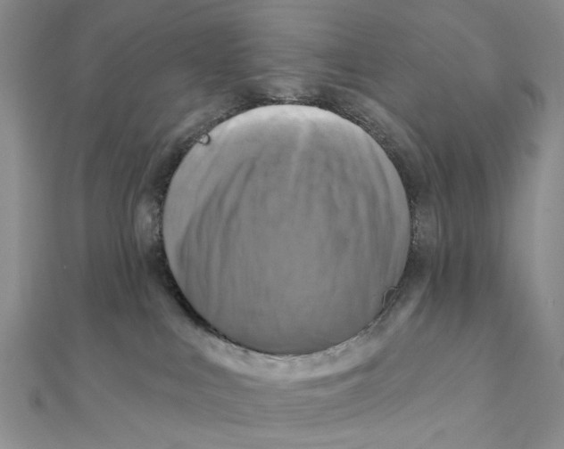 X0000111360043200908071202