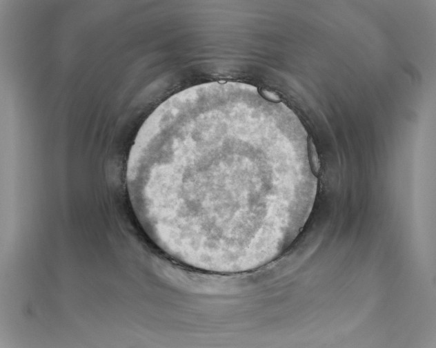 X0000111360044200908071202