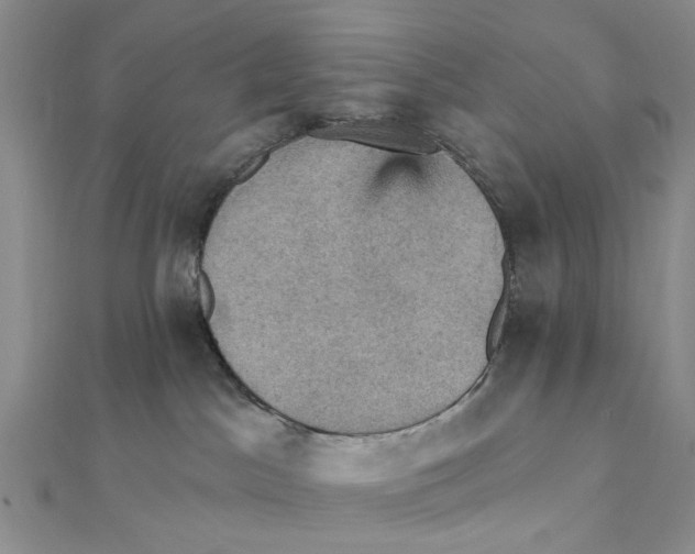 X0000111360045200908071202