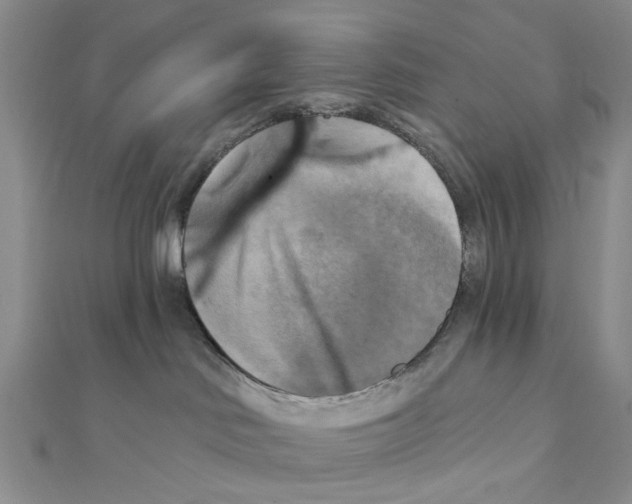 X0000111360046200908071202