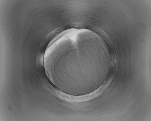 X0000111360047200908071202