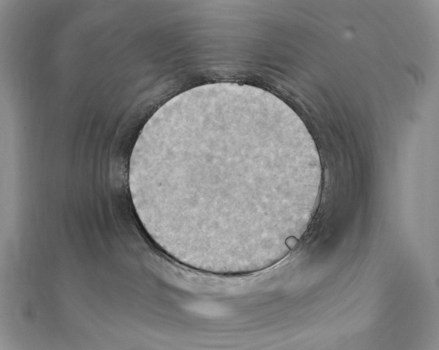 X0000111360048200908071202