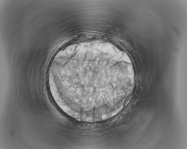 X0000111360049200908071201
