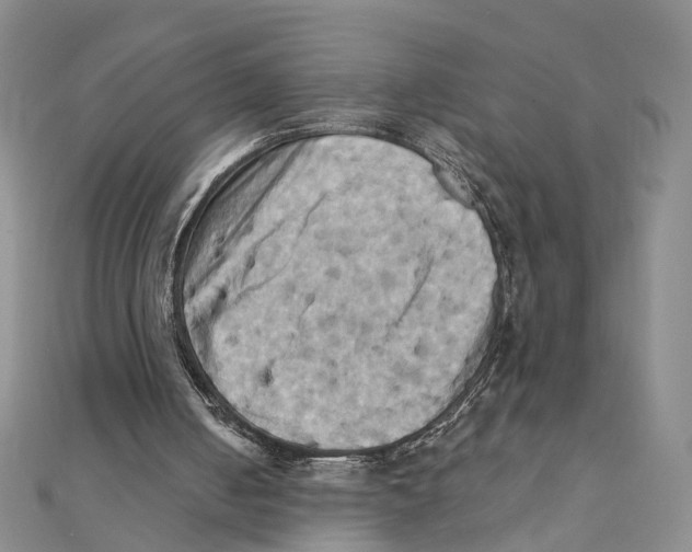 X0000111360050200908071201