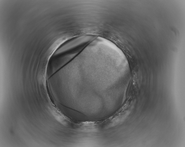 X0000111360052200908071201