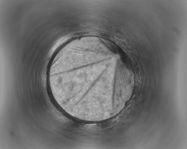 X0000111360054200908071201