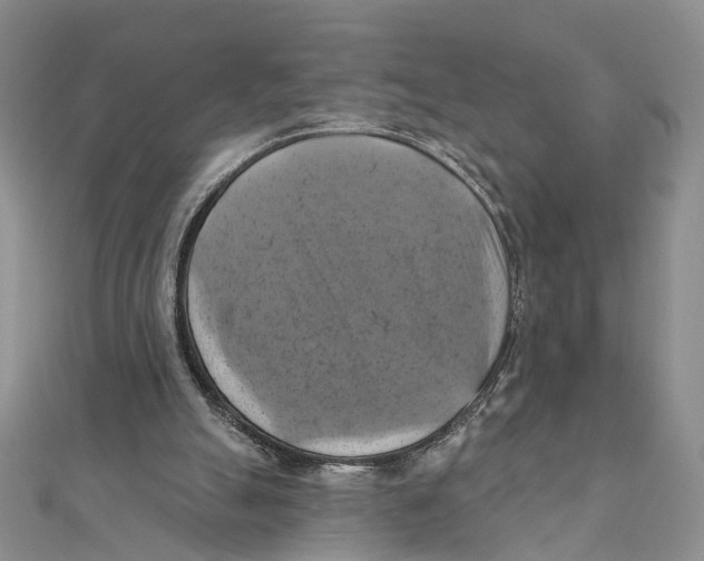 X0000111360055200908071201