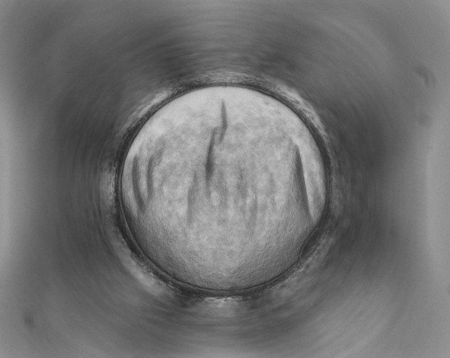 X0000111360057200908071201