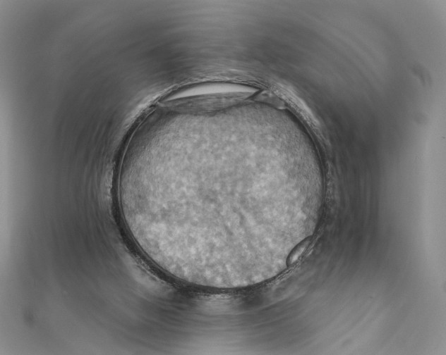 X0000111360058200908071201