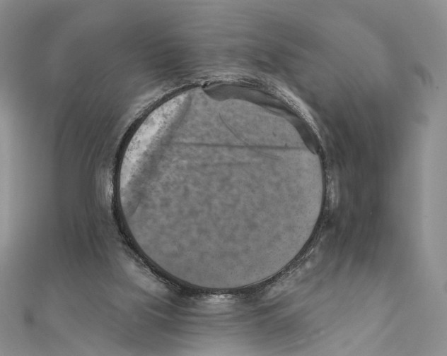 X0000111360059200908071201