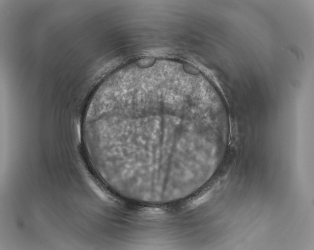 X0000111360061200908071201