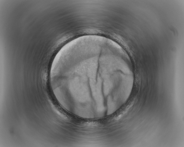 X0000111360063200908071201